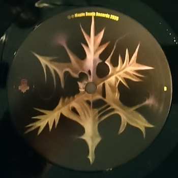 LP Laura Agnusdei: Flowers Are Blooming In Antarctica