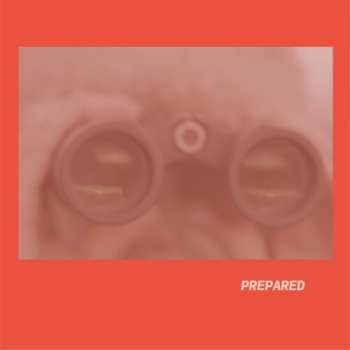CD Laura J Martin: Prepared