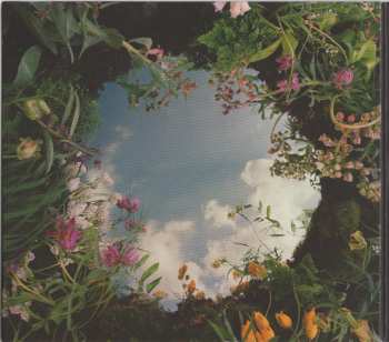 CD Laura Misch: Sample The Sky