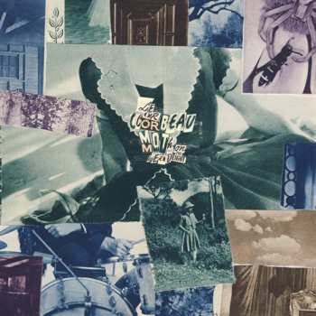 LP Le Corbeau: Moth On The Headlight