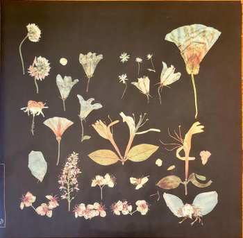 Album Leaving Laurel: When The Quiet Comes