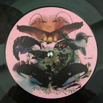2LP Leon Vynehall: Rojus (Designed To Dance)