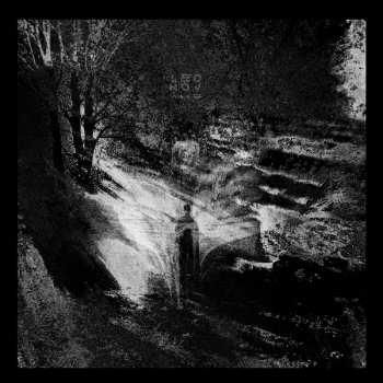 CD Leonov: Wake