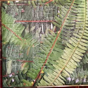 2LP Liars: TFCF (420 Estuary Angler Edition) DLX | LTD | CLR