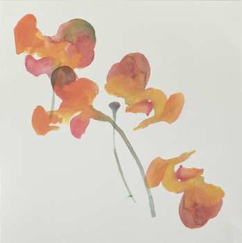 LP Anna Meredith: Nuc (String Quartets)