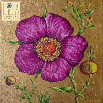 Album Marketa Irglova: LILA
