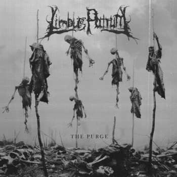 Album Limbus Patrum: Purge
