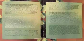 2CD Lina Nyberg: Terrestrial