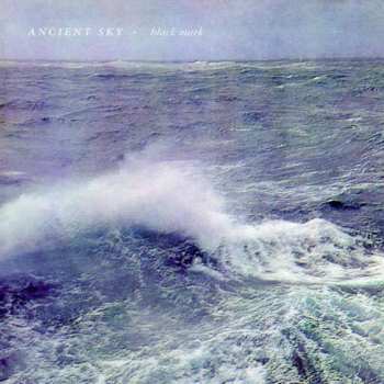 SP Ancient Sky: Half The Time / Black Mark