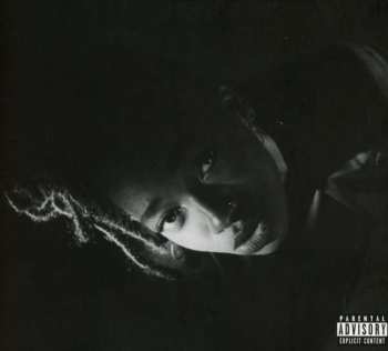 CD Little Simz: Grey Area