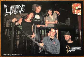 LP Livids: Spoof Attacks (Singles And Other Stains 2011-13)