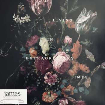 2LP James: Living In Extraordinary Times  LTD | CLR