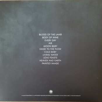 LP Liz Brasher: Painted Image