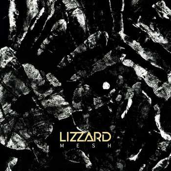 LP Lizzard: Mesh Ltd.