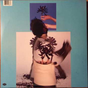 LP Local Natives: Sunlit Youth