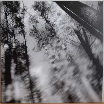 Album Loess: Totems