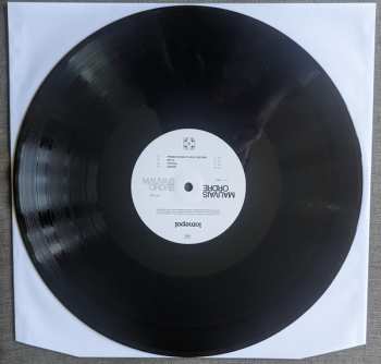 2LP Lomepal: Mauvais Ordre