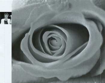 CD Loverboy: Love Songs