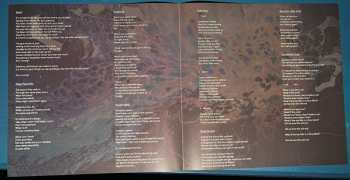 2LP Low Roar: maybe tomorrow... CLR