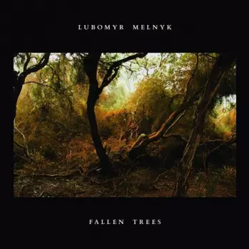 Fallen Trees 