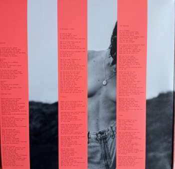 2LP Lucy Kruger & The Lost Boys: Transit Tapes (For Women Who Move Furniture Around)