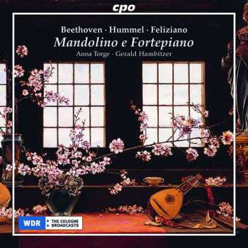 CD Ludwig van Beethoven: Mandolino E Fortepiano
