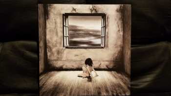 2LP Luna Sea: Image LTD
