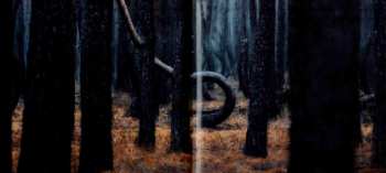 2CD Lunatic Soul: Through Shaded Woods LTD