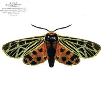 2CD Lunz: Lunz Reinterpretations