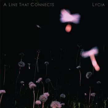 A Line That Connects
