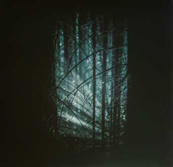 LP Lys: Silent Woods LTD | CLR