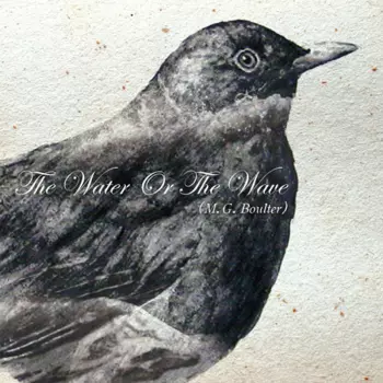 The Water Or The Wave