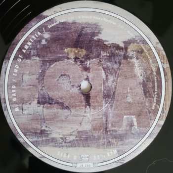 2LP M. Ward: End of Amnesia