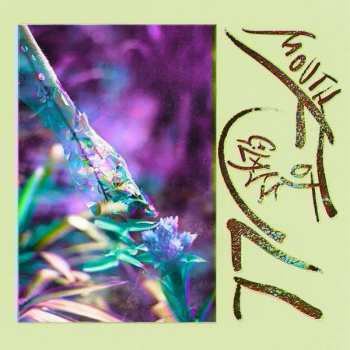 CD Macie Stewart: Mouth Full of Glass