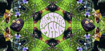 LP Maestro Maya: Live From Planet Maya LTD | CLR