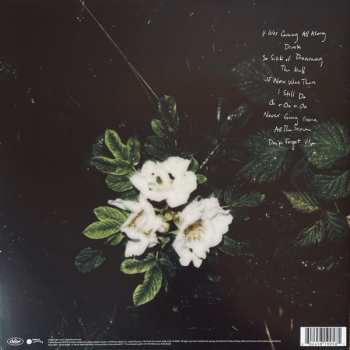 LP Maggie Rogers: Don't Forget Me CLR | LTD