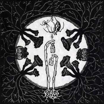 LP Magic Tuber Stringband: Tarantism