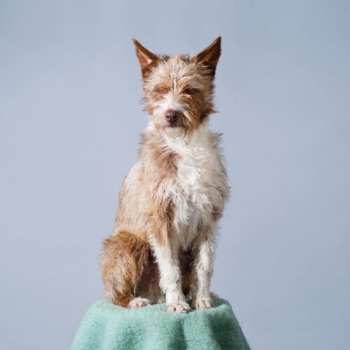 Album Makez: Different Planets EP