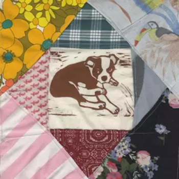 Mapache: Roscoe's Dream