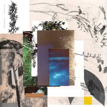 LP Mara Simpson: Living Matter