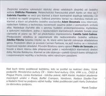 CD Marek Švejkar: Connection