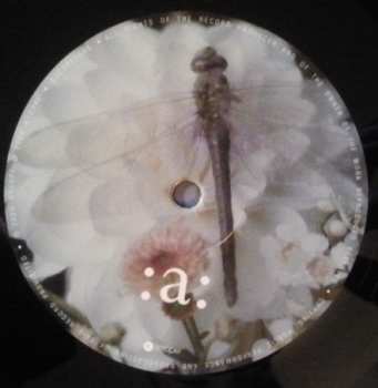 LP Marjana Semkina: Sleepwalking