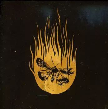 Mark Davis: Mistakes I Meant To Make