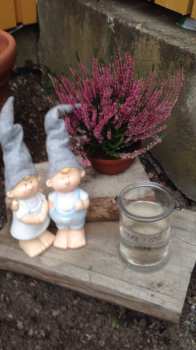 CD Marquess: En Movimiento