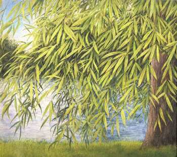 Album Martin Simpson: Nothing But Green Willow (The Songs Of Mary Sands And Jane Gentry)