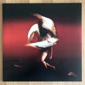 LP Maruja: Pain To Power LTD | CLR