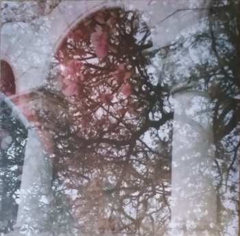 LP Mary Lattimore: Gainer CLR | LTD