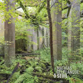 Mathias Delplanque: Ô Seuil