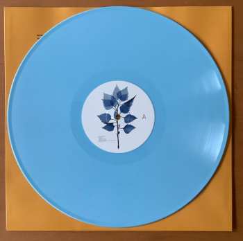 LP Matt Berninger: Get Sunk CLR | LTD