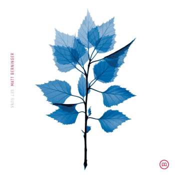 CD Matt Berninger: Get Sunk